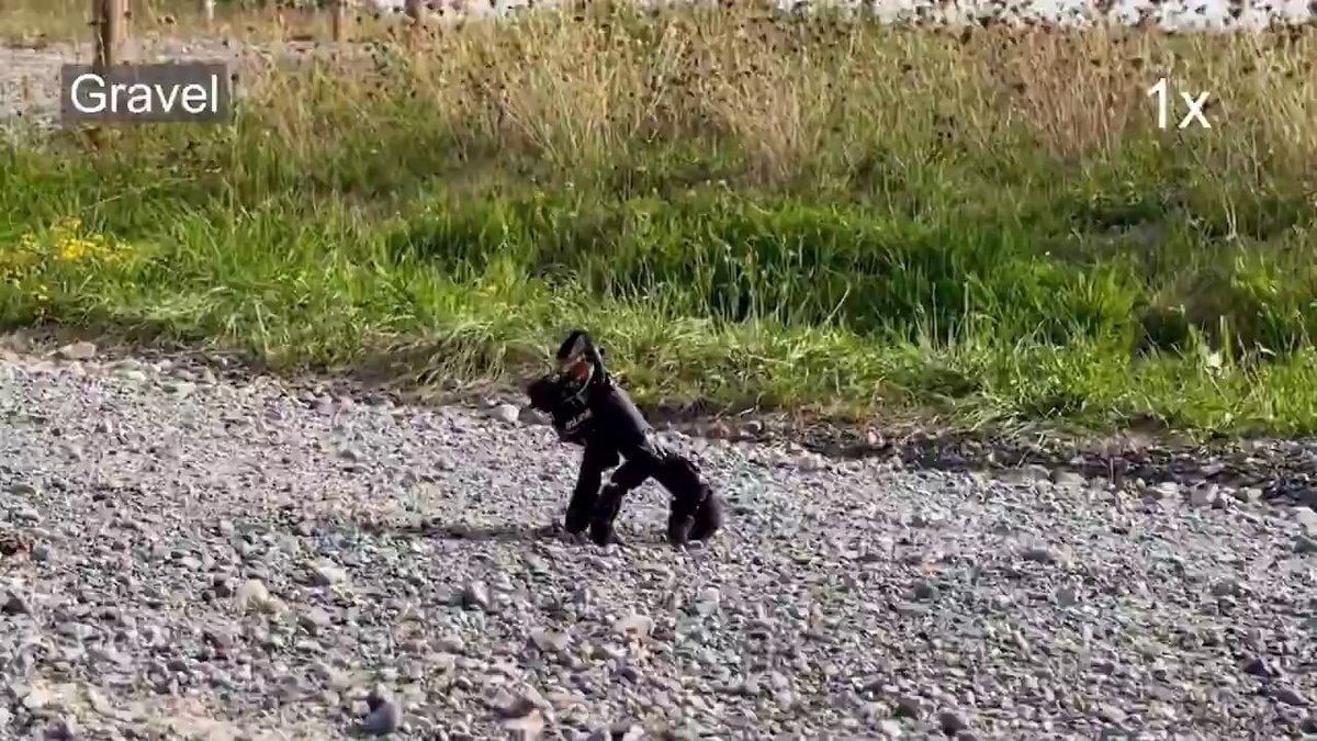 Robotic hand crawling on gravel