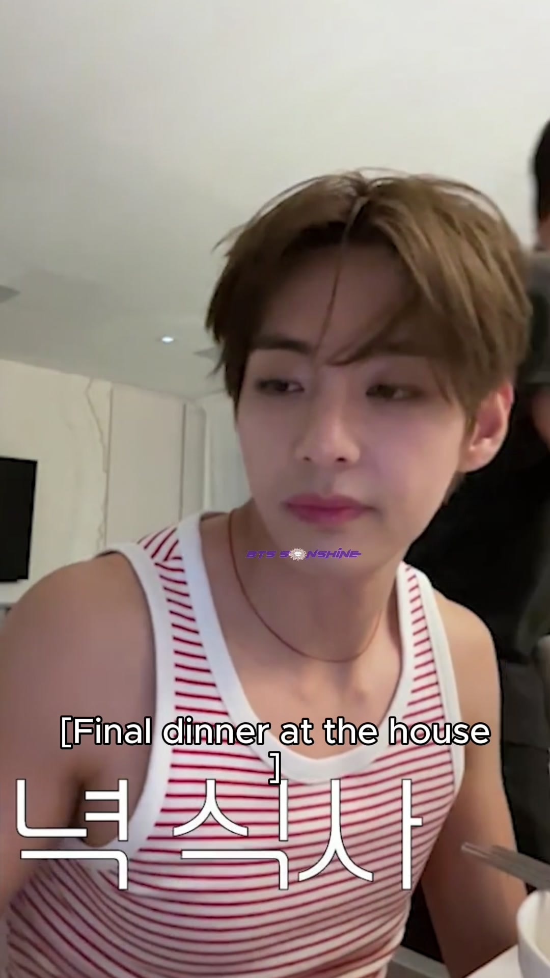 Taehyung Arirang tour sound V vlog
