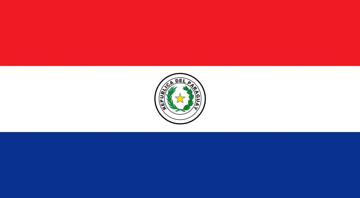 Paraguay World Cup Round of 16