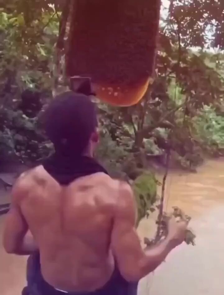 man reaching for large beehive