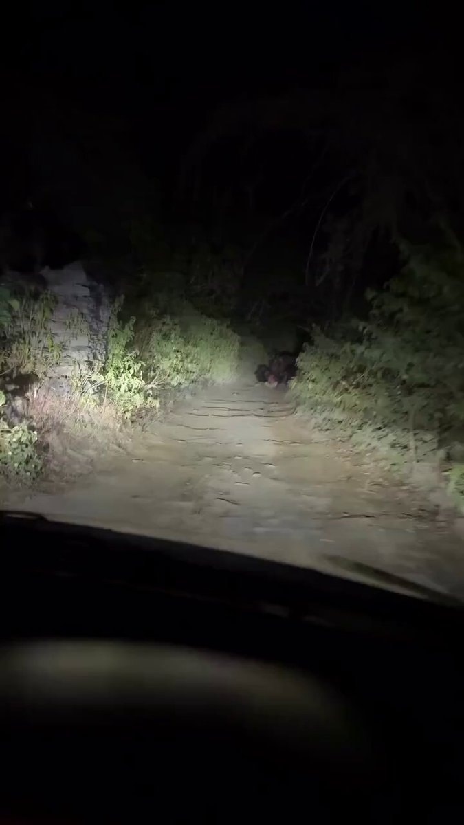 dark figure on dirt road