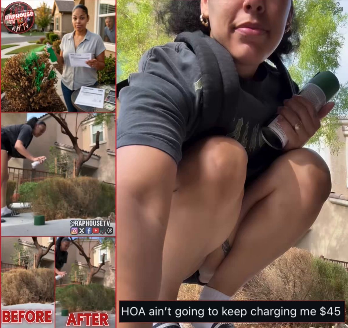 Woman spray paints dead bush after HOA fine