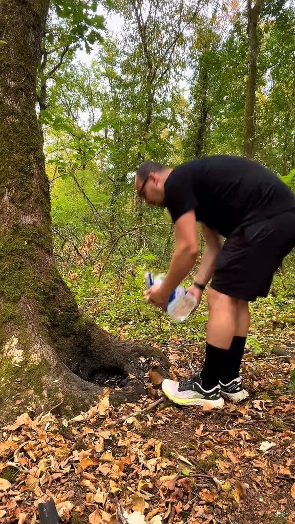 Heatwave tree hollow water sharing