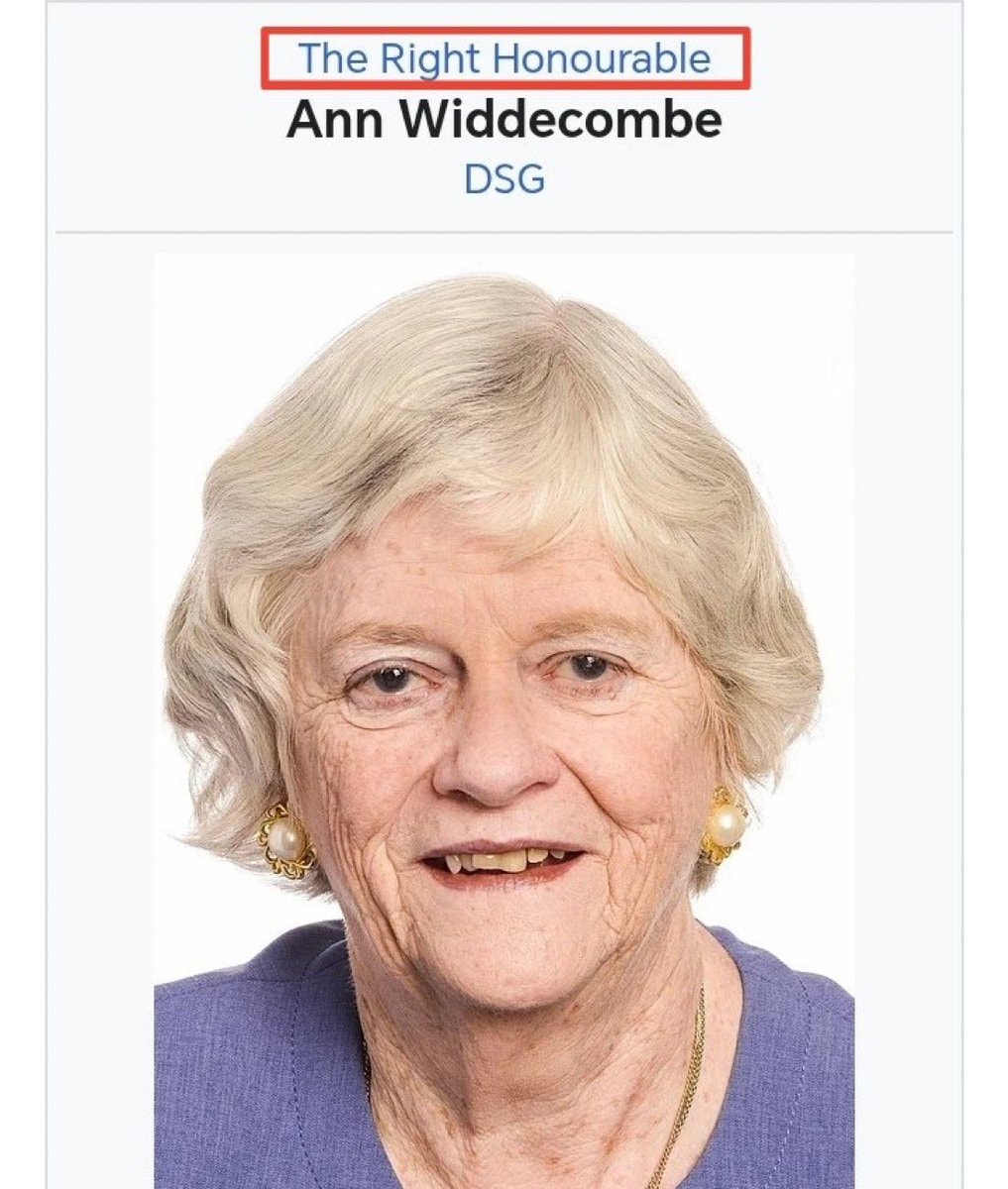 Ann Widdecombe portrait (photo 1 of 2)