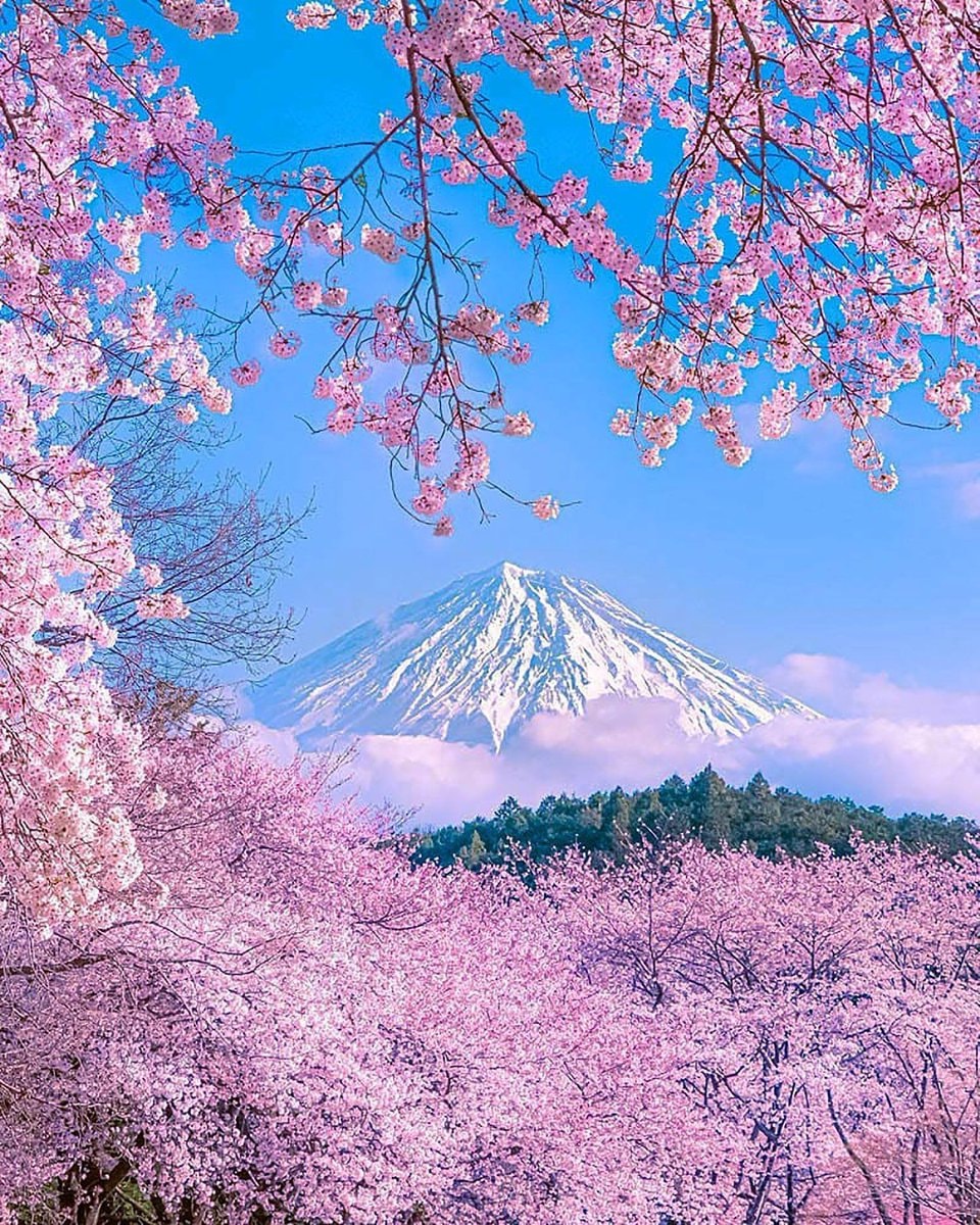Shizuoka Japan
