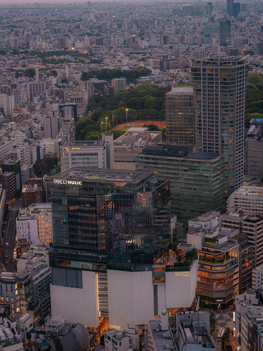 Shibuya Japan sunset park (photo 4 of 4)