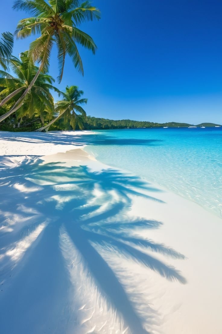 Maldives beach (photo 2 of 2)