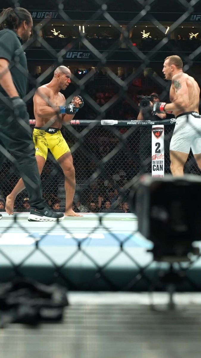UFC fighters in octagon
