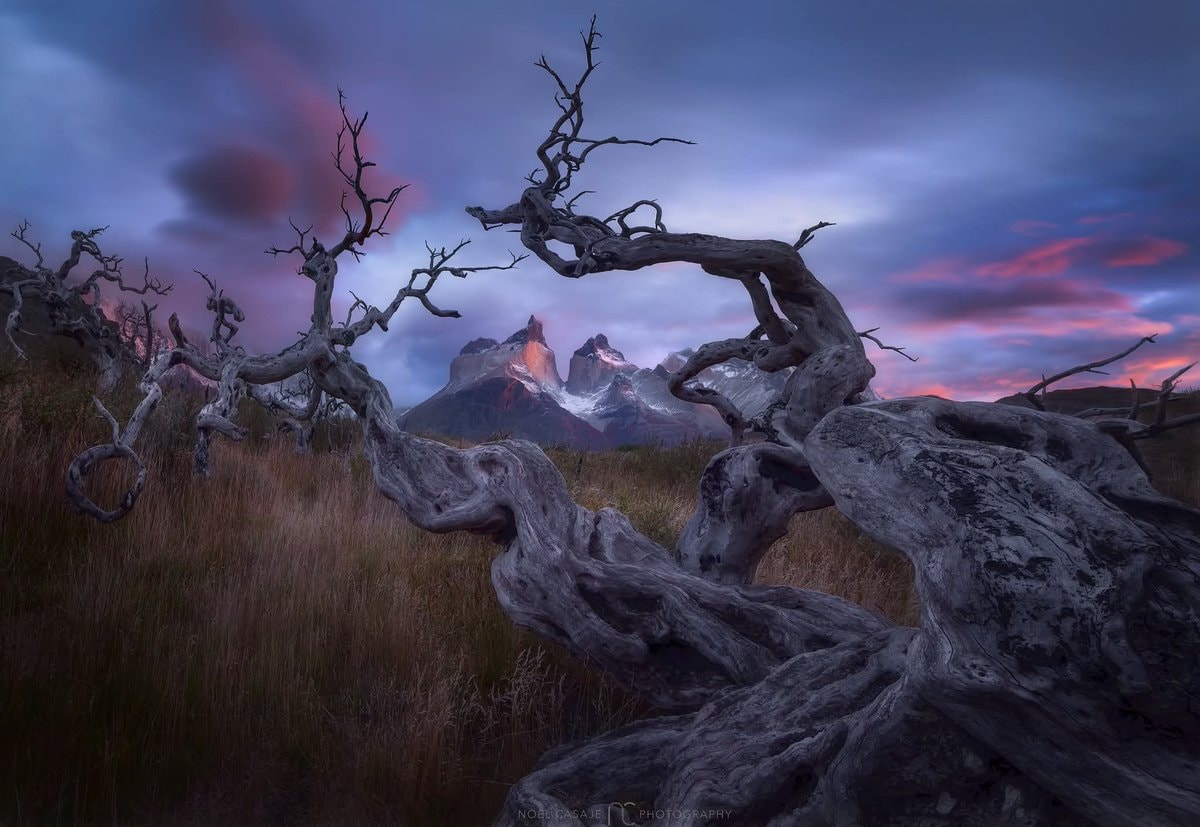 Patagonia photography tours since 2018 (photo 3 of 4) Patagonia photography tours since 2018 (photo 3 of 4)