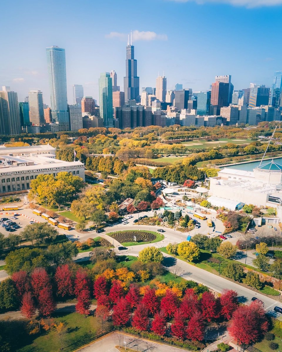 Chicago Illinois autumn park view