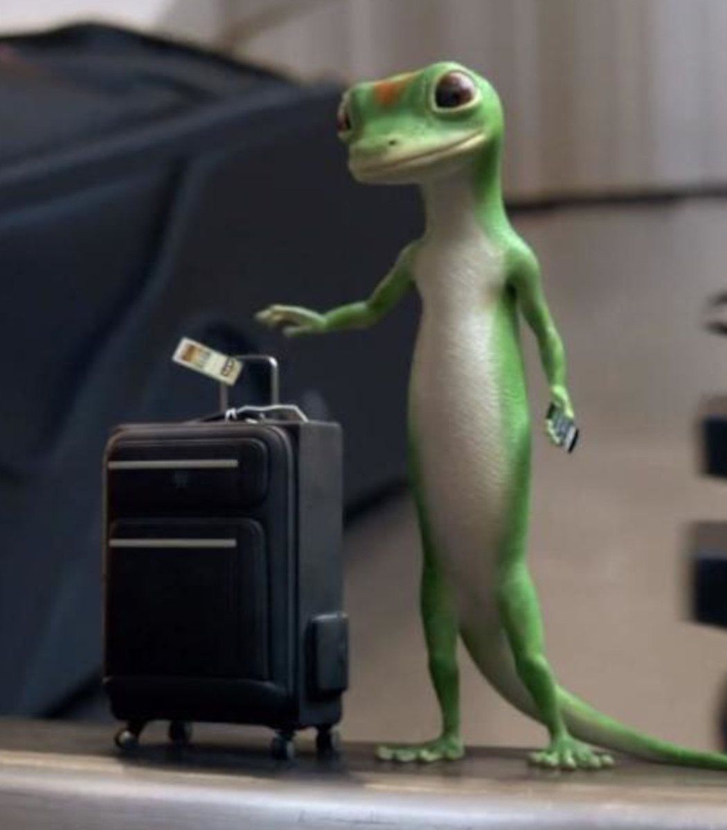 Mexican man arrested Japan lizard smuggling (photo 2 of 2)