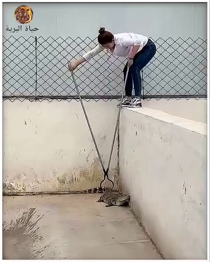 Funny moment caught on camera