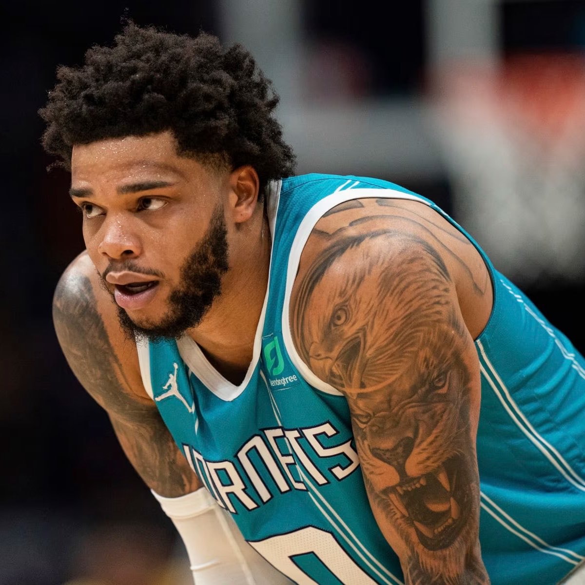 Miles Bridges trade Hornets Suns Miles Bridges trade Hornets Suns