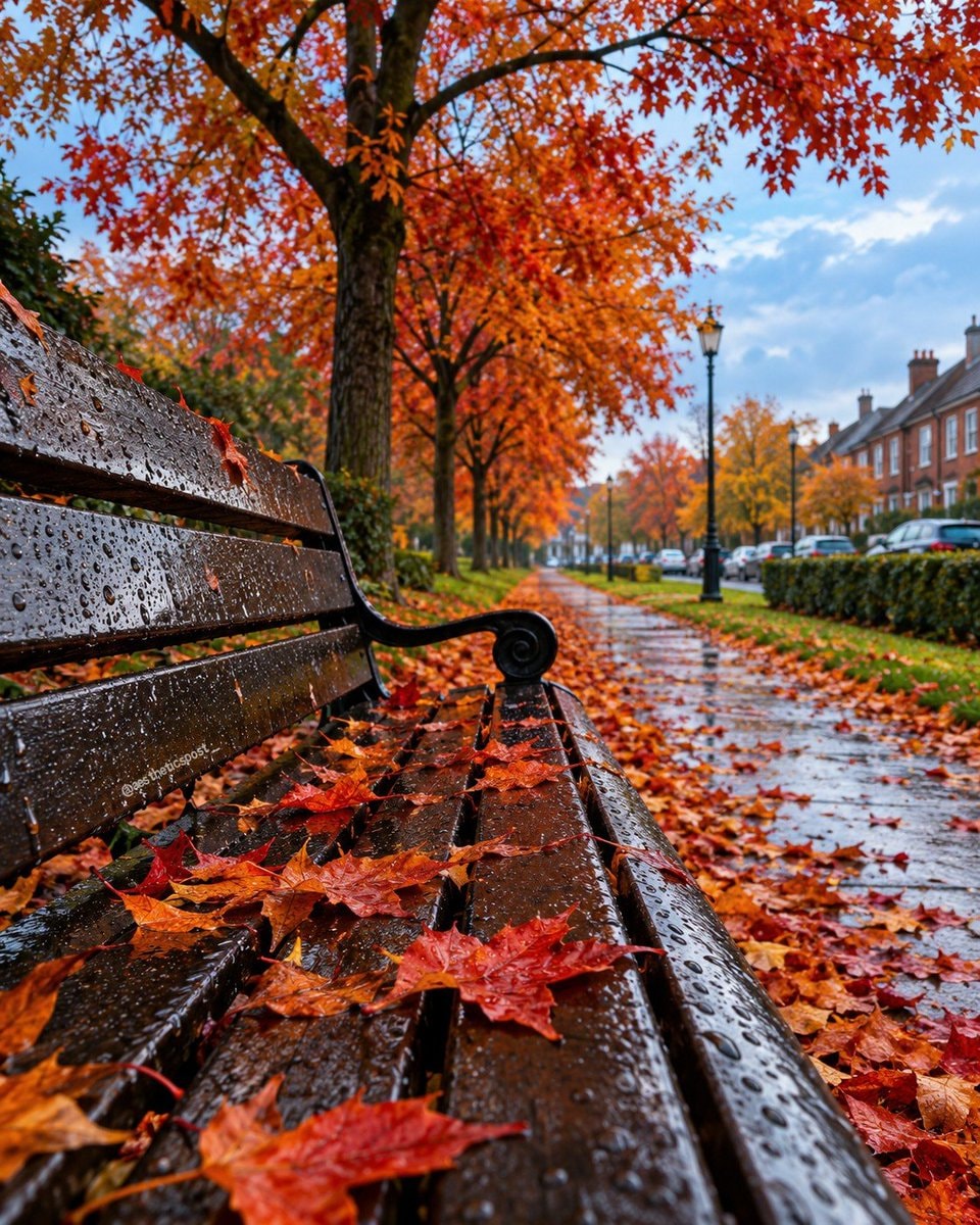 autumn park bench after rain