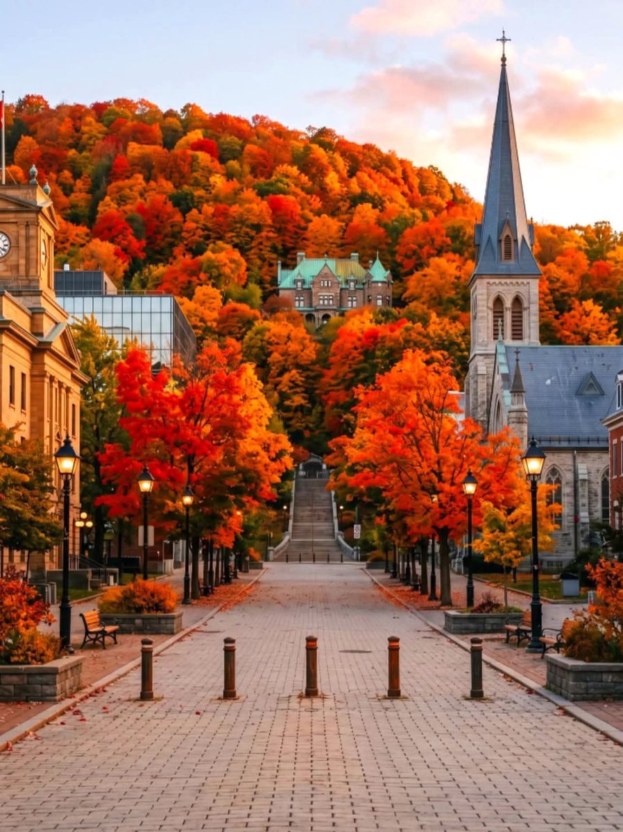 Montréal in autumn