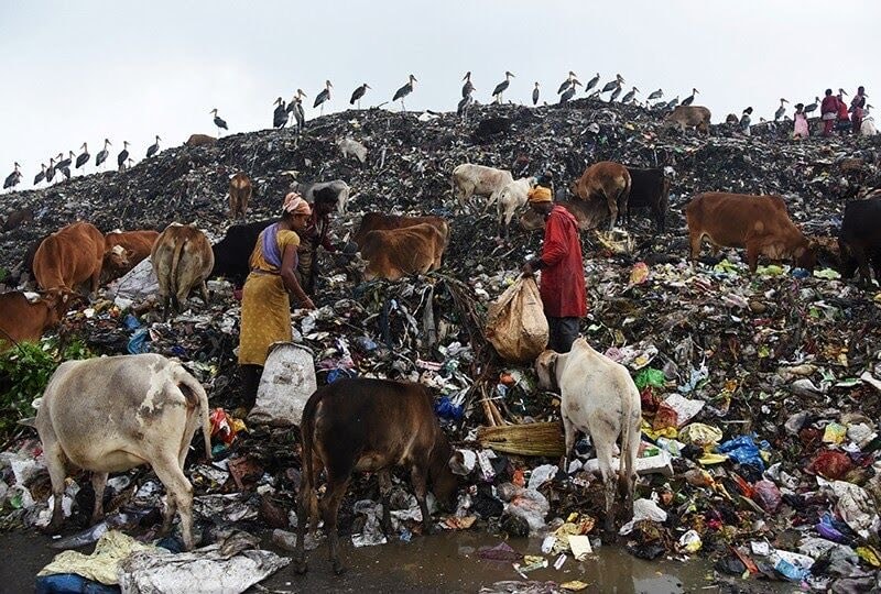 Garbage dump poverty scene