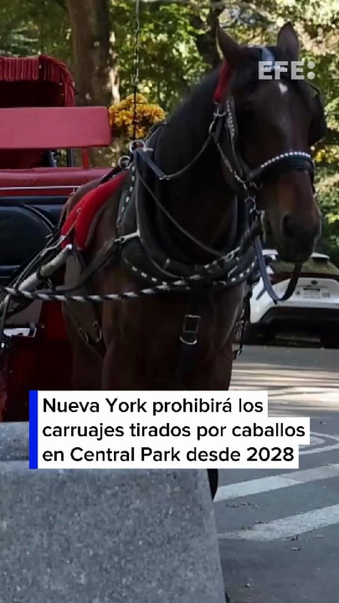 Central Park horse carriage ban 2028