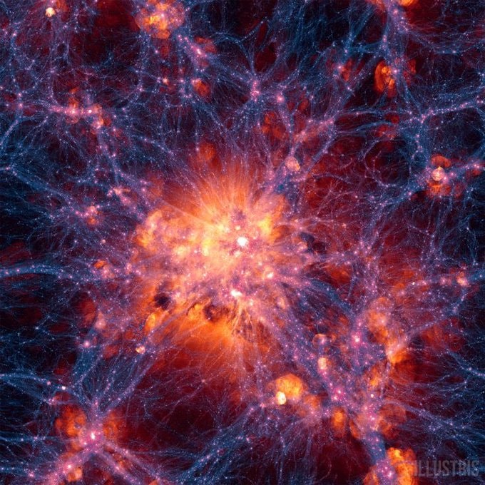 human brain and cosmos quantum connection