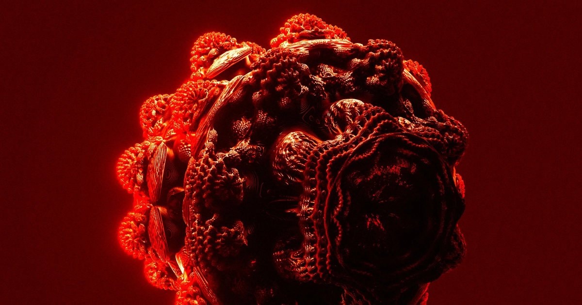 tumor-eating bacteria
