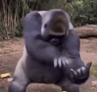 Gorilla hang loose GIF