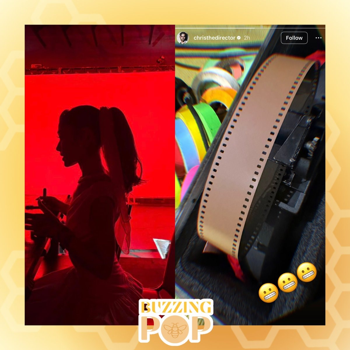 Ariana Grande Christian Breslauer petal visuals (photo 2 of 2)