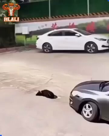 impossible camera timing caught on video impossible camera timing caught on video