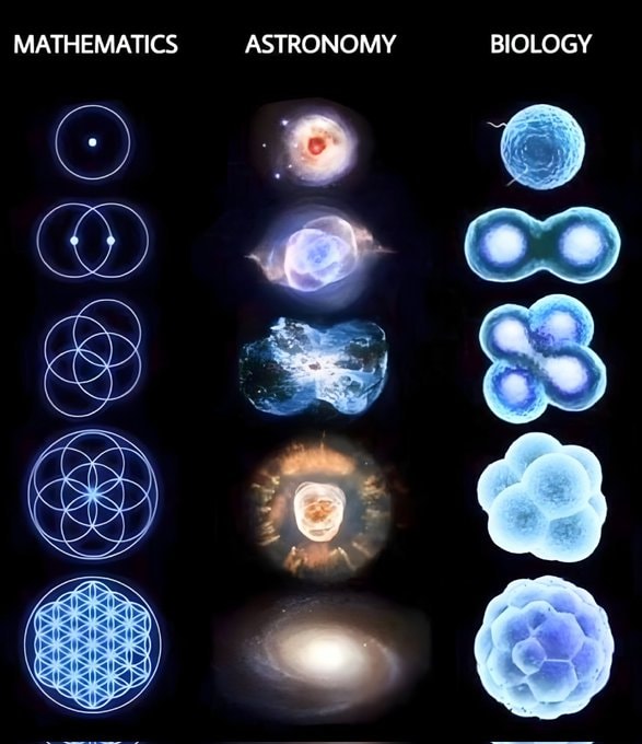 mathematics astronomy biology grid