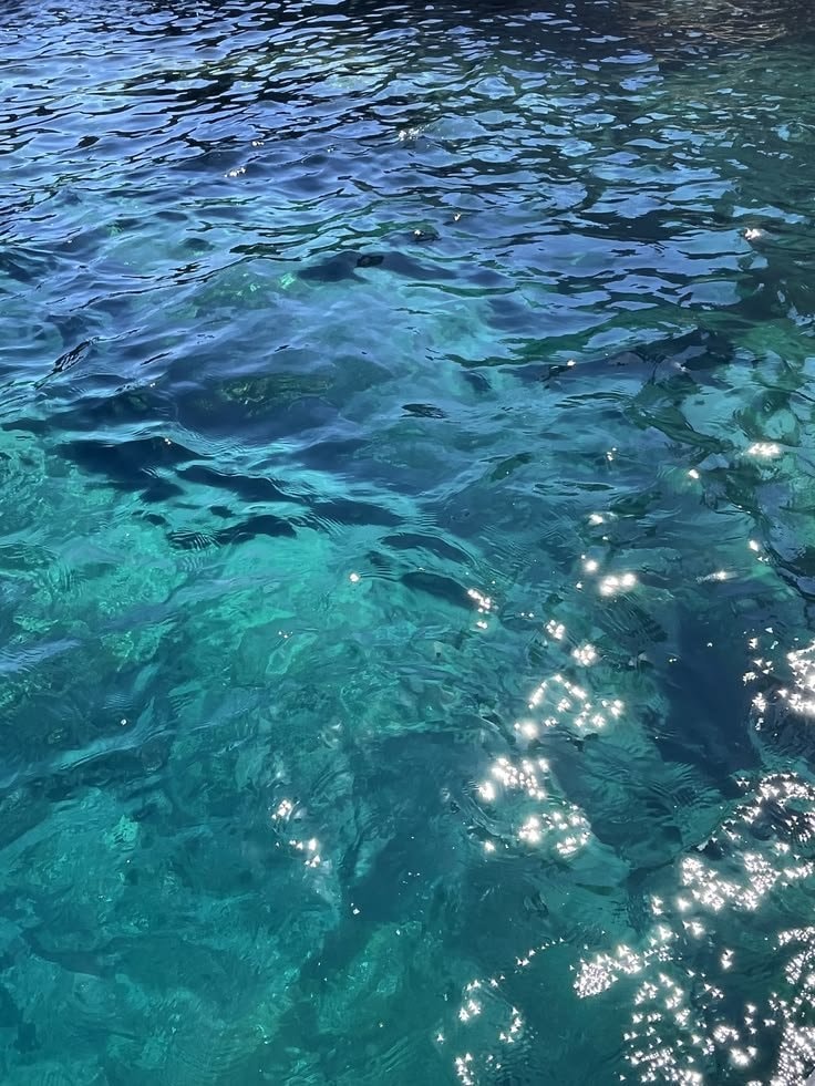 sea serenity (photo 4 of 4)