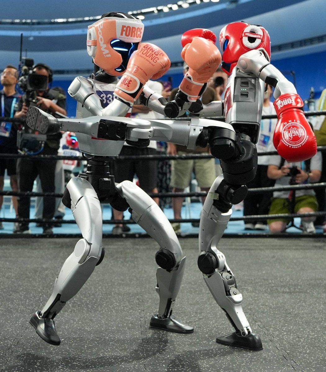 Robot village China (photo 2 of 3)