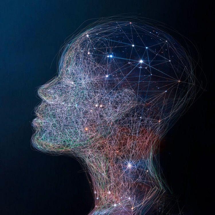 gut feelings and consciousness through time
