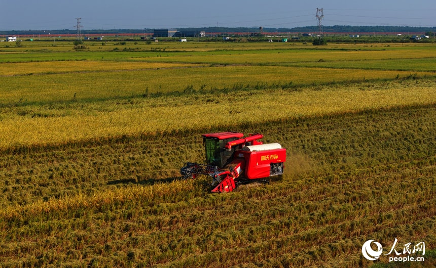 Harvest season in Yongshan Village, Yongxiu (photo 2 of 4)