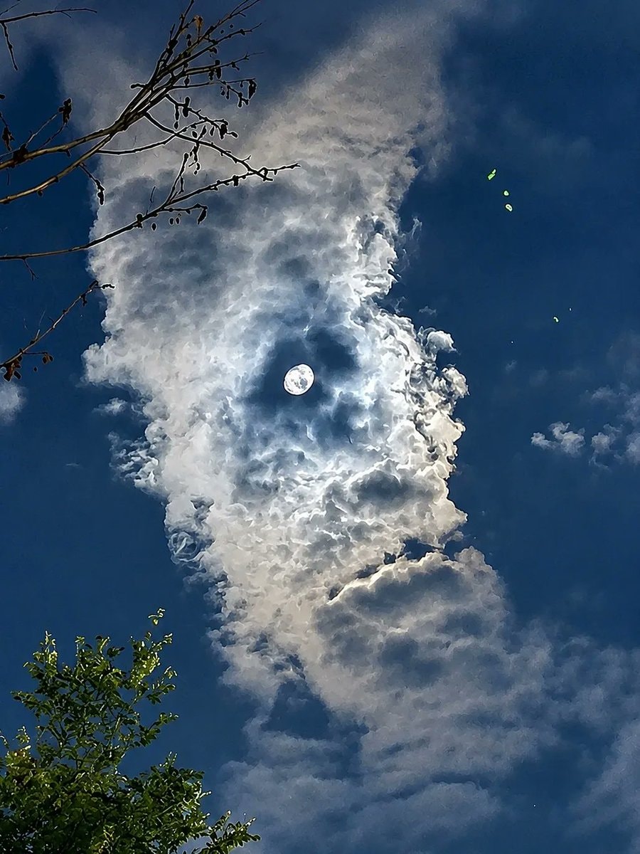 night scene with full moon and clouds (photo 2 of 2)
