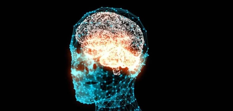 brain gratitude rewiring brain gratitude rewiring