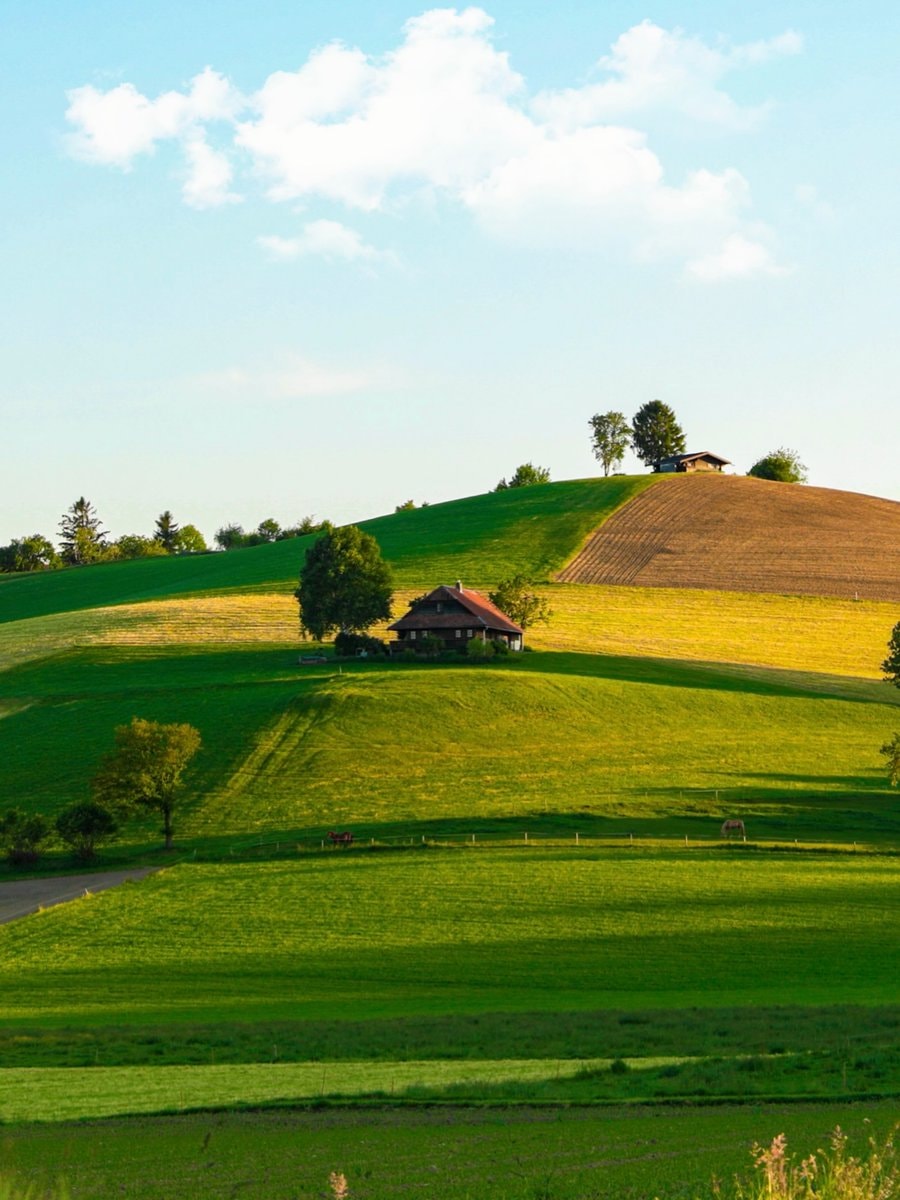 Switzerland (photo 2 of 4)