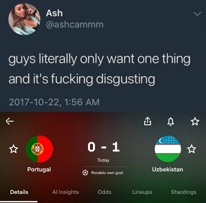 Portugal Uzbekistan 0-1 Ronaldo own goal