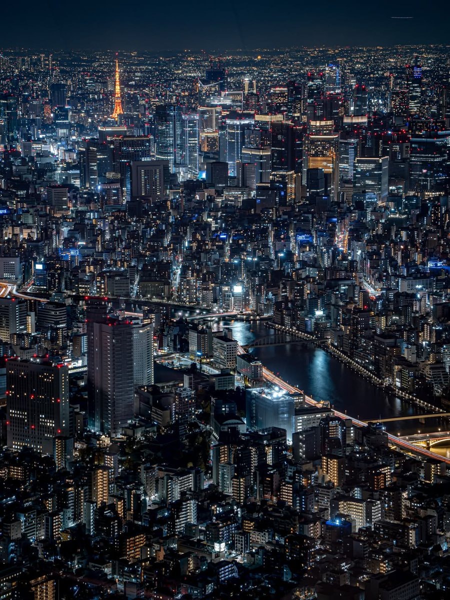 City skyline night view (photo 4 of 4)
