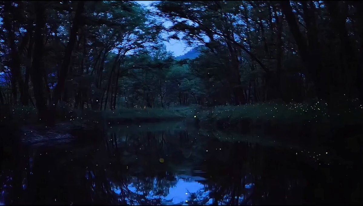 Twinkling night sky