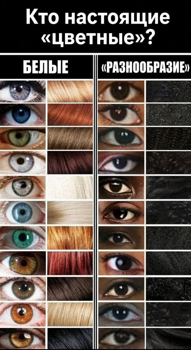 Diversity plan vs White features