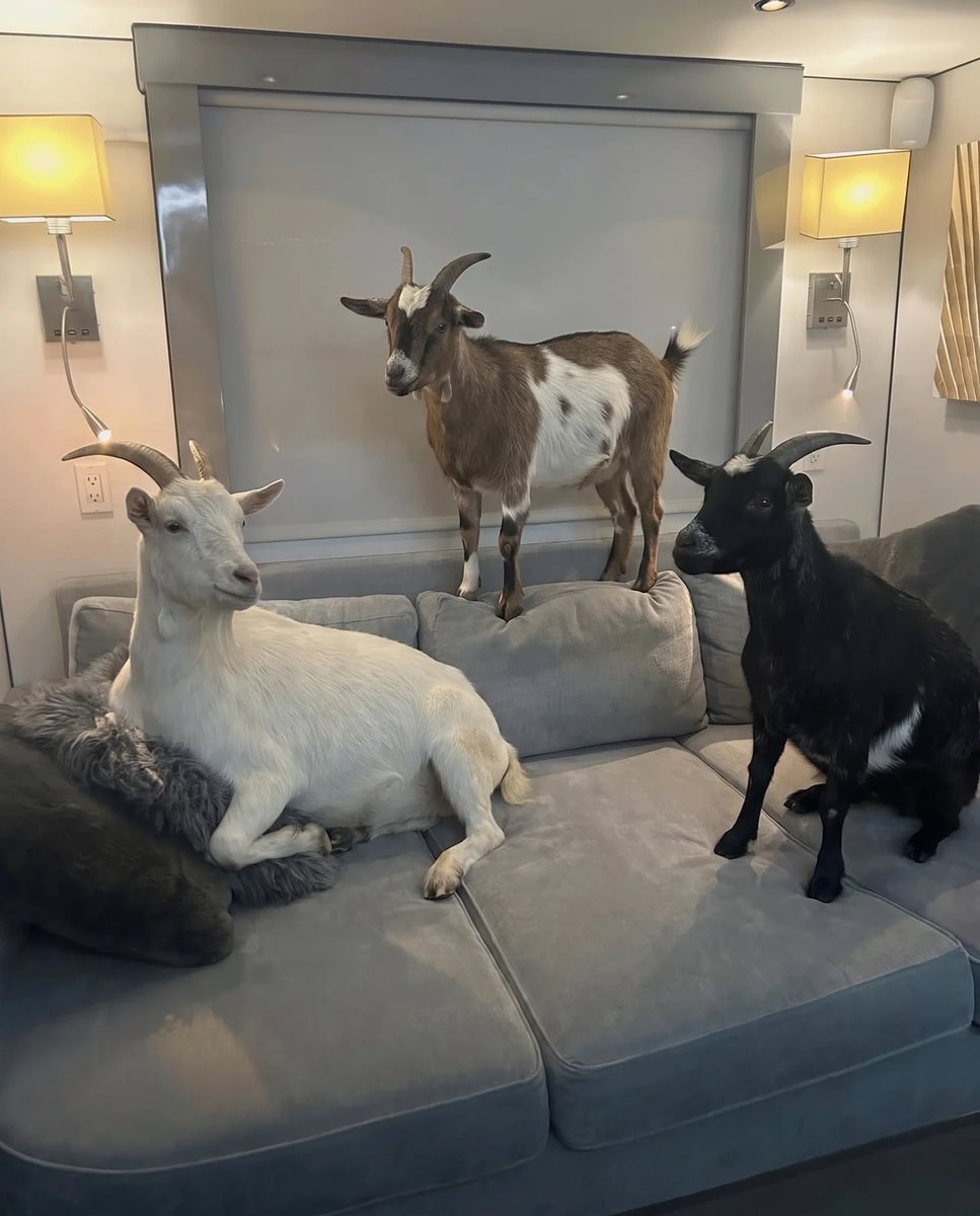 Private jet cash lounge (photo 2 of 2)