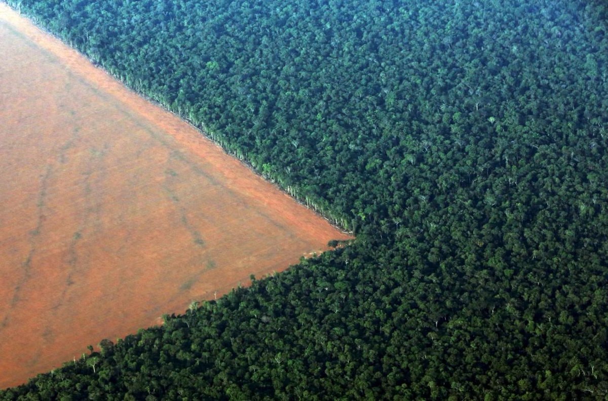 Colombia Amazon rainforest protection (photo 2 of 2)