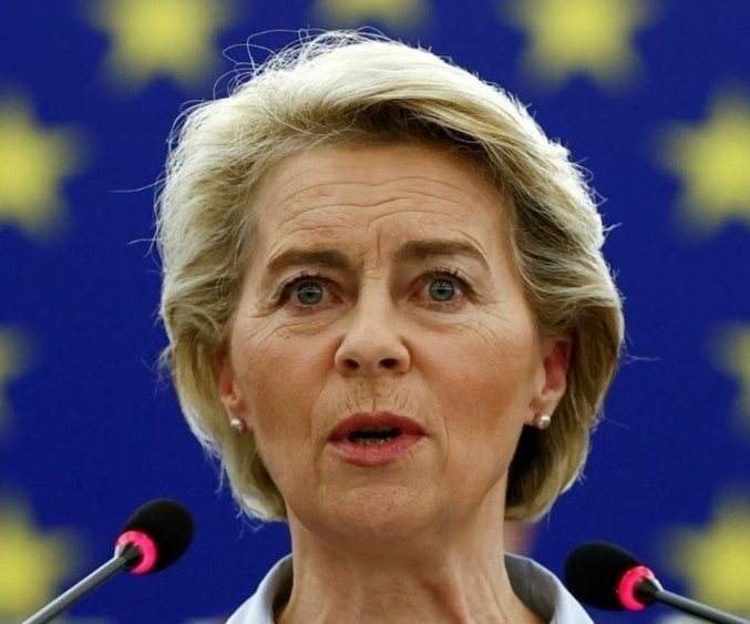 Elon Musk calls EU leaders traitors (photo 2 of 2)