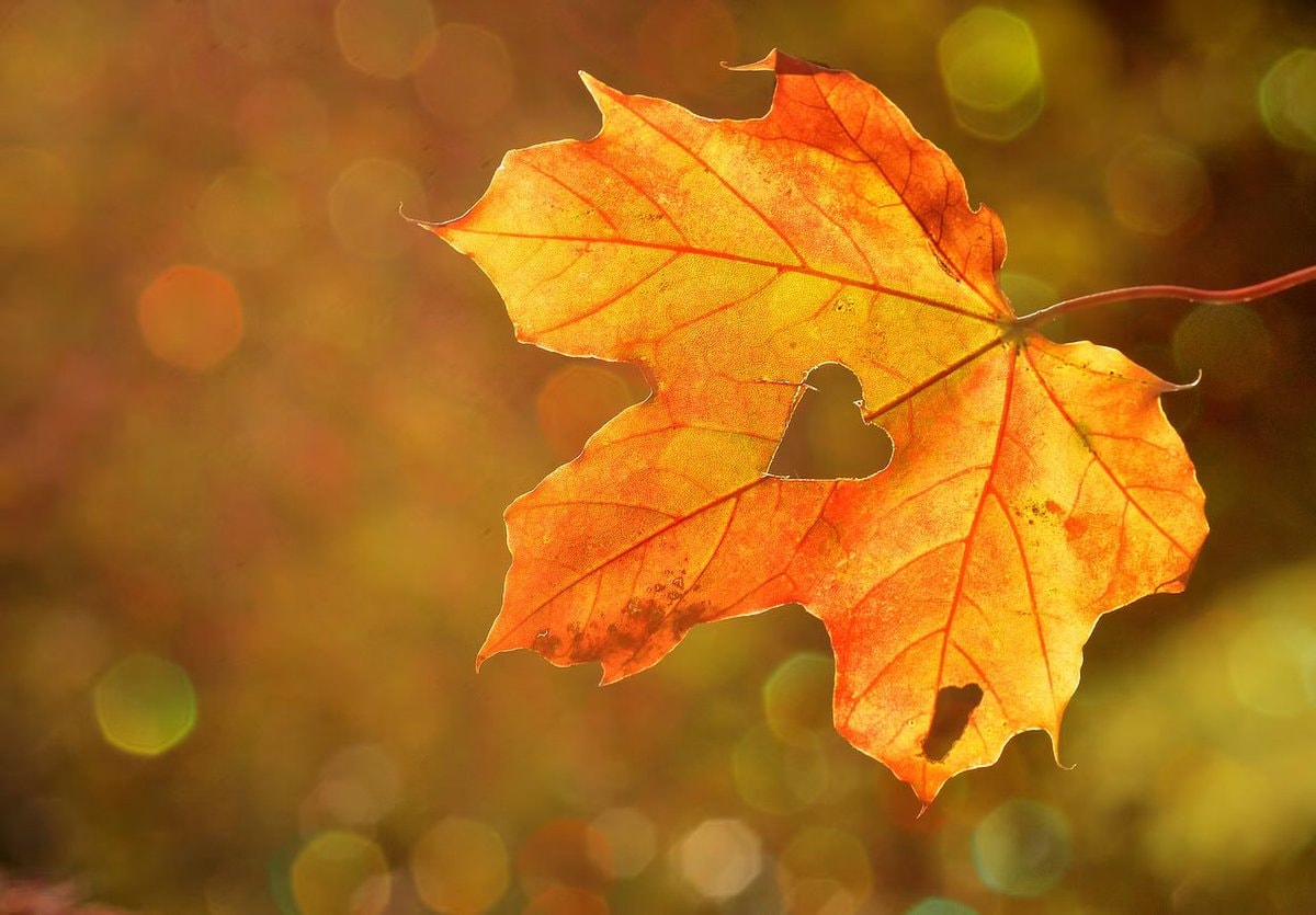 first day of fall