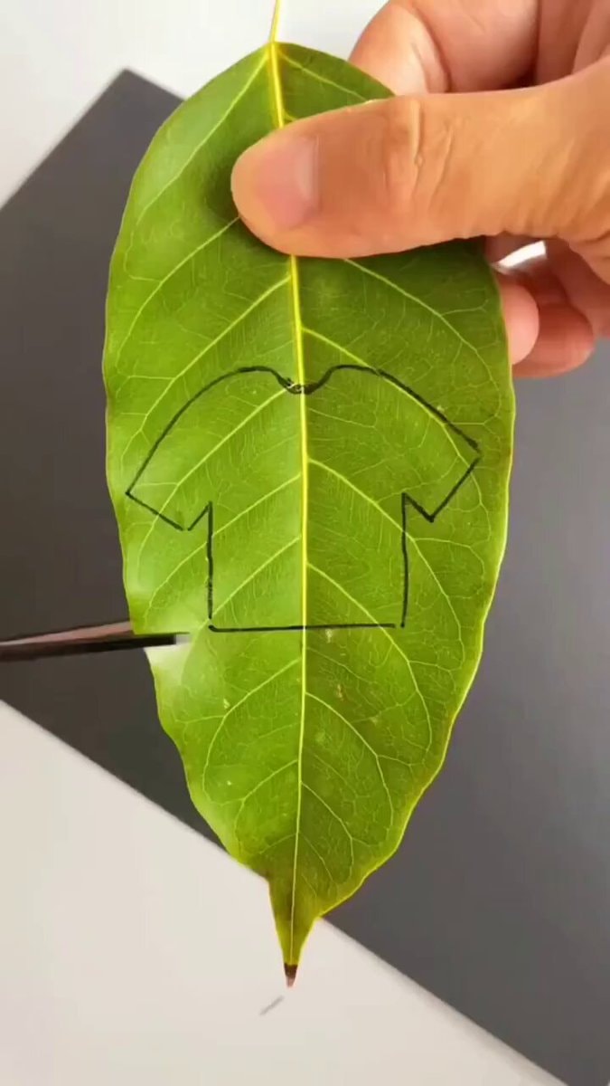 leaf t-shirt art