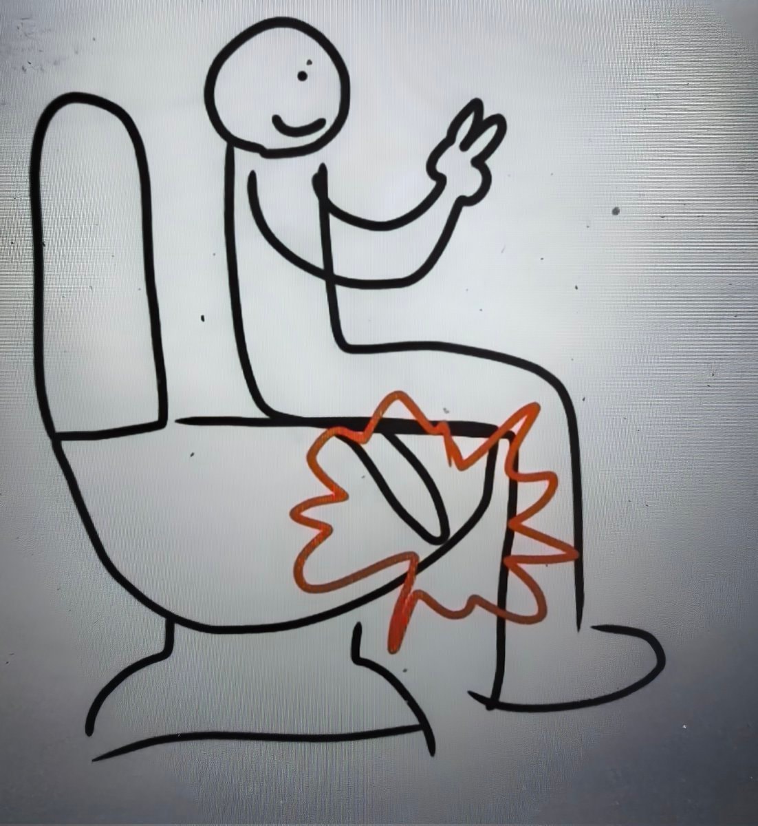 famous morning seat defies physics famous morning seat defies physics