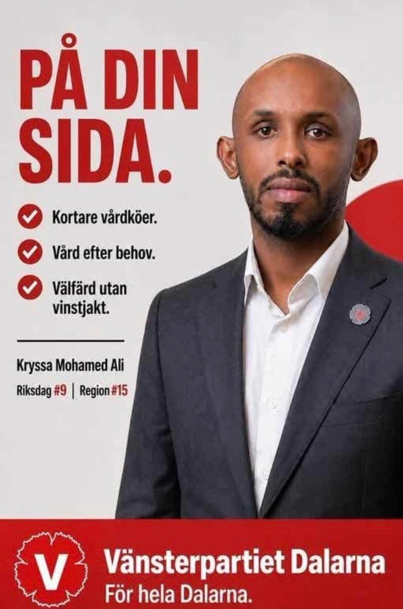 Mohamed Ali Riksdag Sweden election fraud