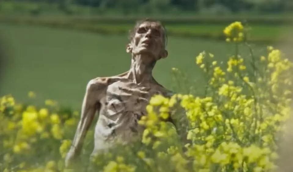 Madonna walking in nature