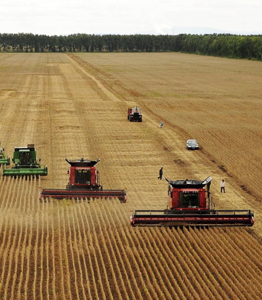 China farmland protection law