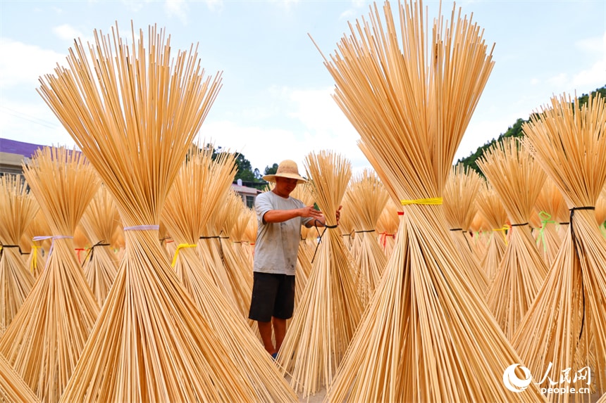 Bamboo strips drying in Yuankeng village (photo 3 of 4)