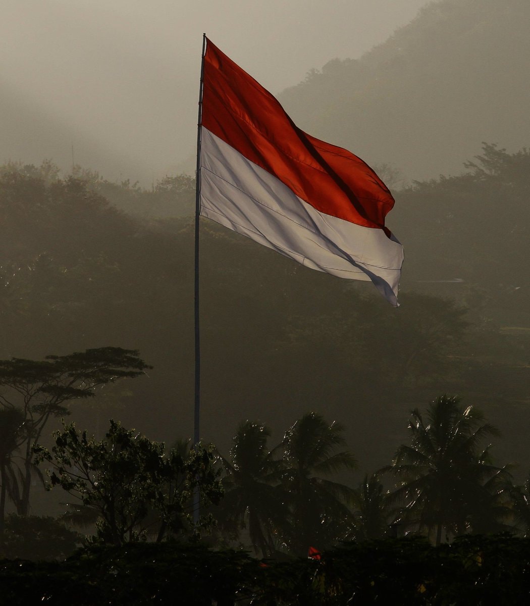 Indonesia conservation photography (photo 2 of 2)