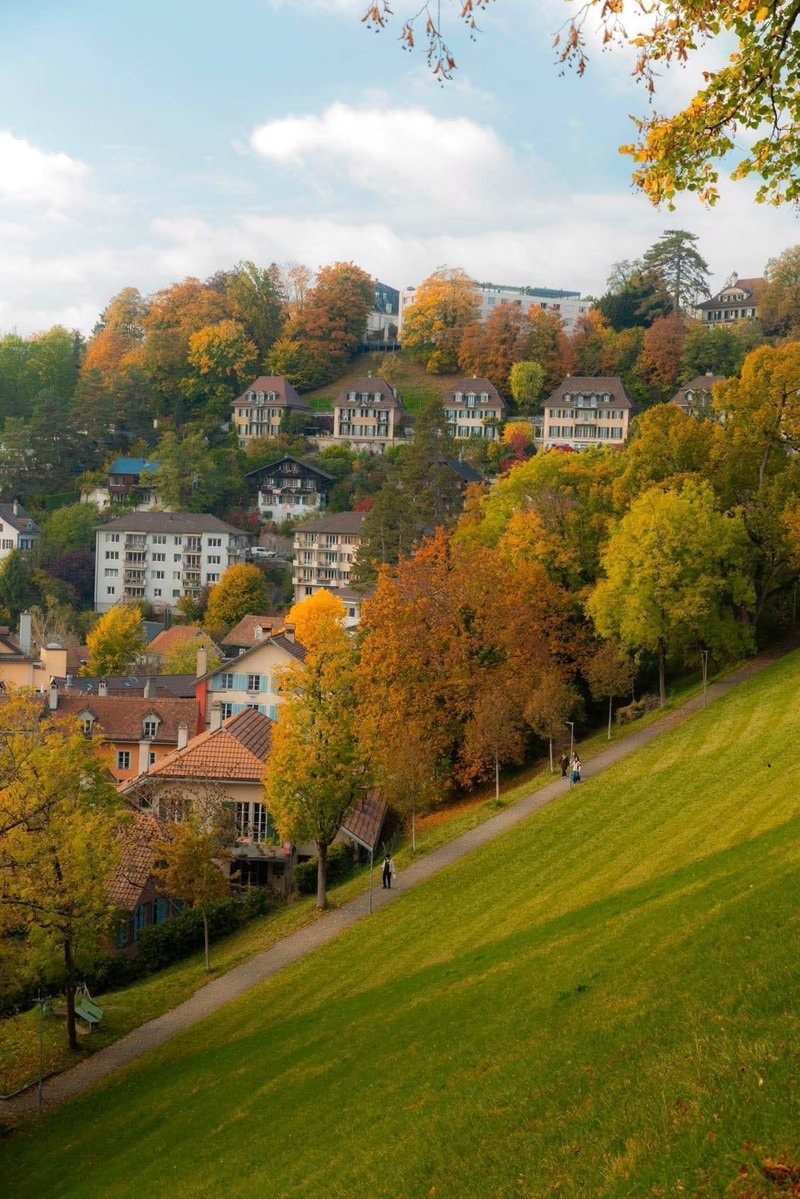 Bern autumn hillside Bern autumn hillside